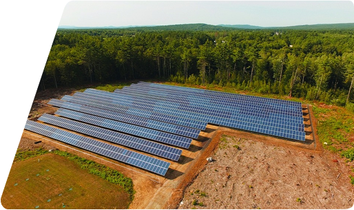 Solar panel farm situated in a clearing bordered by dense forest.