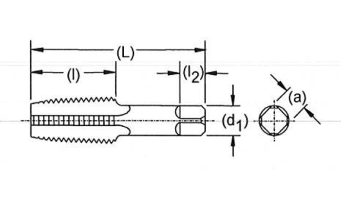 Technical drawing of a machine tap, showing dimensions for length (L), thread length (l), shank length (l2), and shank (d1).